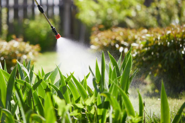 24/7 Emergency Termite Control experts in Auburn, NE